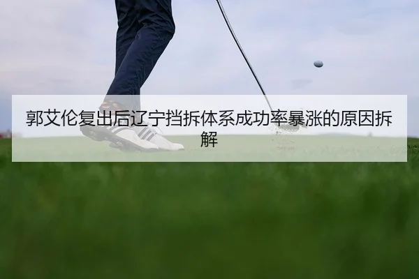 guo-ai-lun-fu-chu-hou-liao-ning-dang-chai-ti-xi-cheng-gong-lv-bao-zhang-de-yuan-yin-chai-jie-2-161.jpg